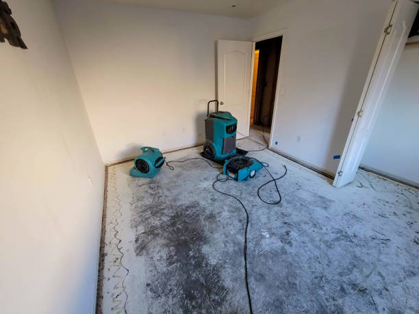 Best Water damage restoration near me  in Shenandoah, LA