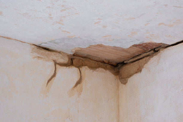 Best 24-hour water damage restoration  in Shenandoah, LA
