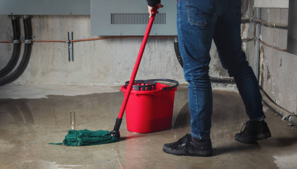 Best Water damage restoration near me  in Shenandoah, LA