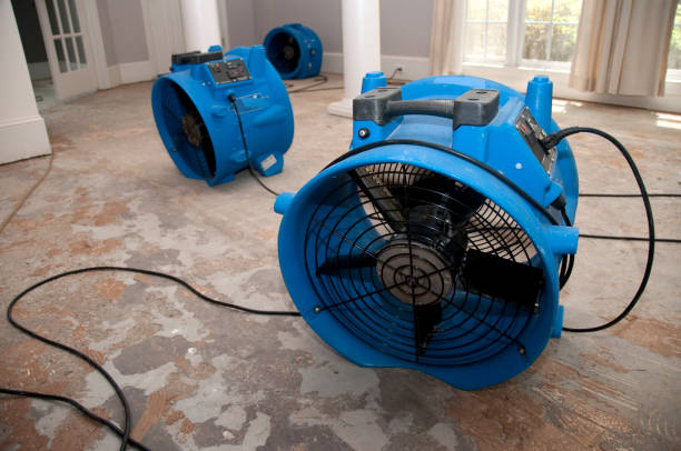 Best Flood damage cleanup  in Shenandoah, LA