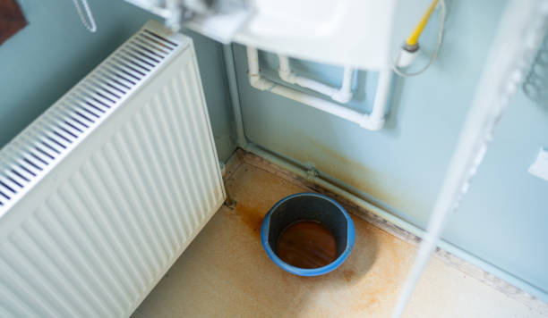 Trusted Shenandoah, LA Water damage restoration Experts