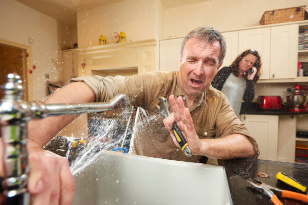 Best Flooded house restoration  in Shenandoah, LA